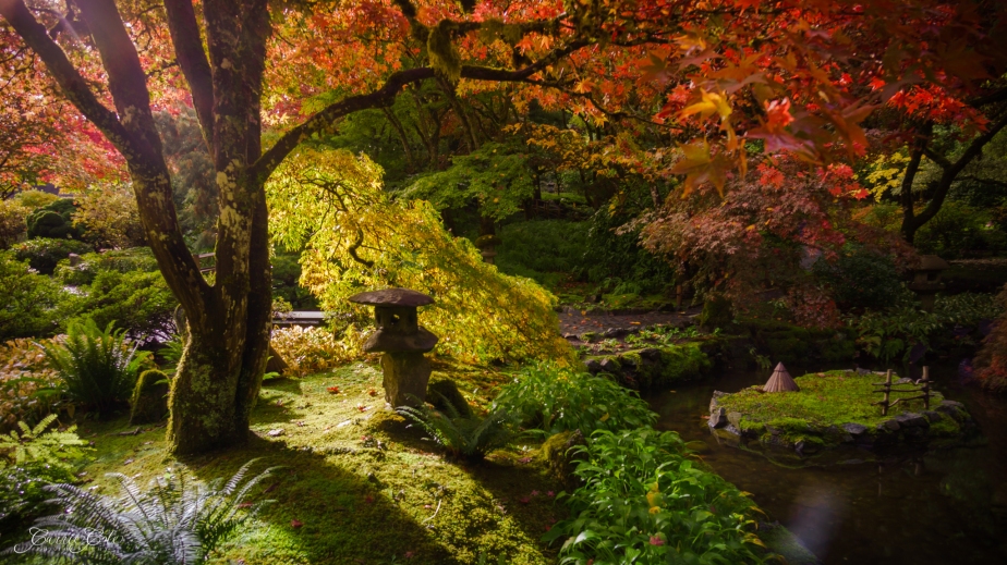 Japanese Garden Oasis