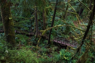 Schooner Cove Trail, Tofino, Ucluelet, British Columbia
