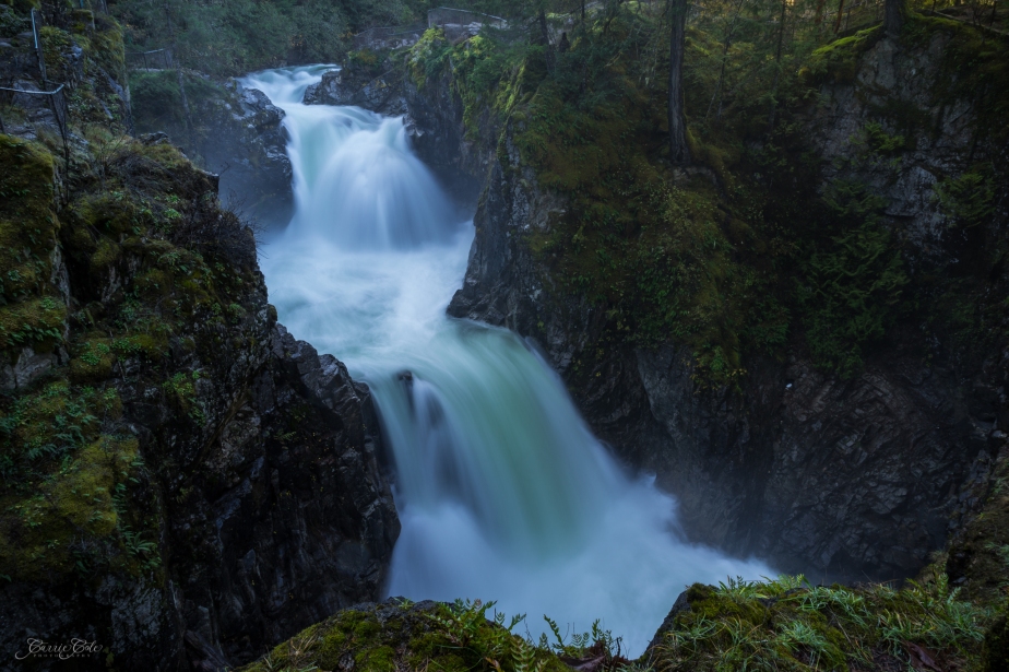 We made a quick stop at Little Qualicum Falls Provincial Park near Parksville, BC. With all the rain we've had lately, the water is really raging through the canyon. It was difficult keeping my lens clear at this misty falls!